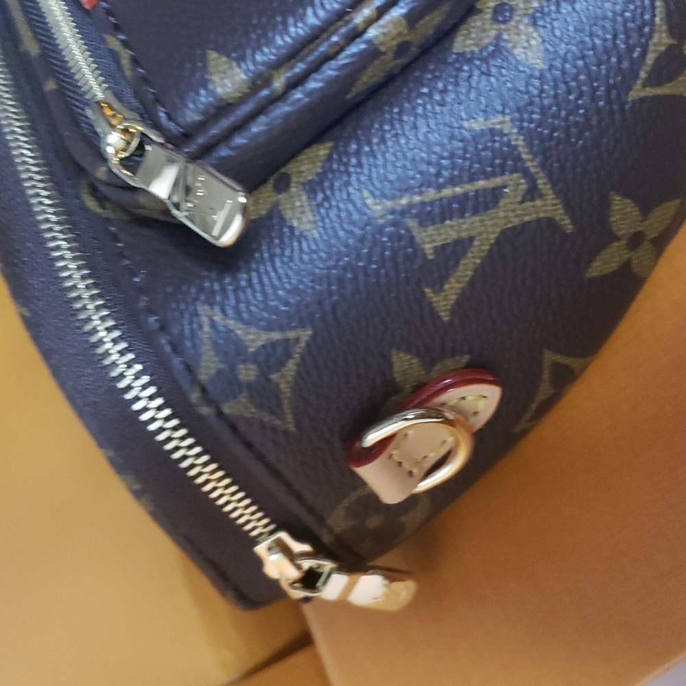 Louis Vuitton Mini Bumbag - Picture 5 of 13